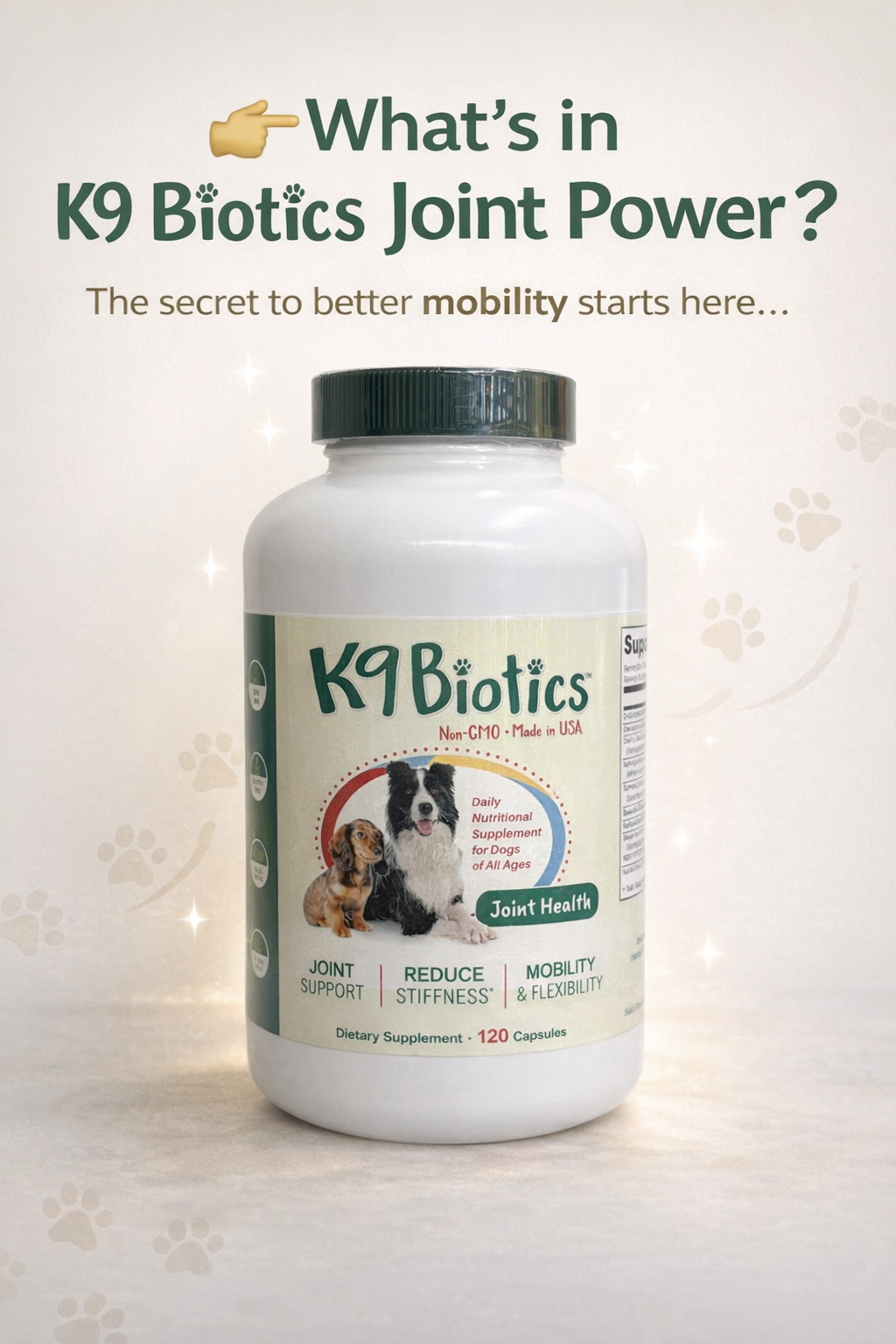 The Benefits of Joint Supplements for Pets at Every Life Stage