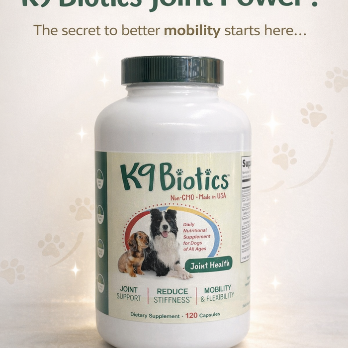 The Benefits of Joint Supplements for Pets at Every Life Stage
