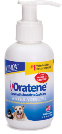 How Do I Brush My Dog's Teeth?