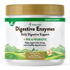 Is Your Dog on a Probiotic? Come to Holistic Pet Cuisine Boca Raton