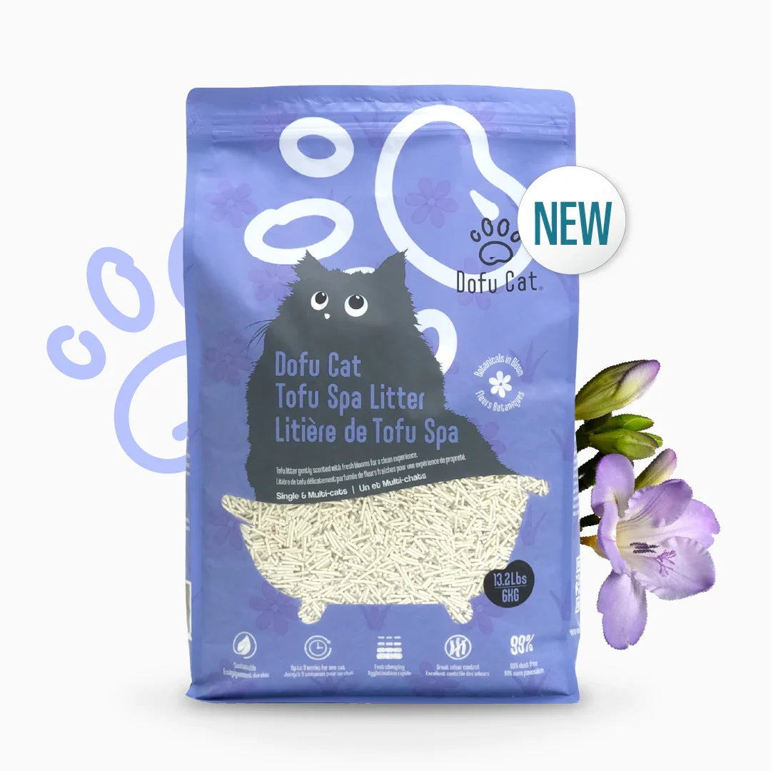 How to Choose Cat Litter