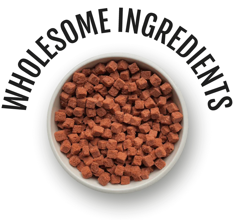 Shop by Brand at Holistic Pet Cuisine Boca Raton