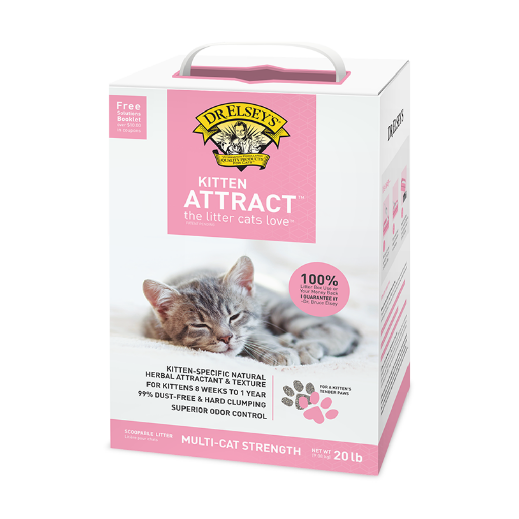 Pet Supplies, Harnesses, Leashes , Collars and Beds