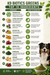 K9 Biotics Greens top 10 ingredients with a dog and bowl of greens on a white background