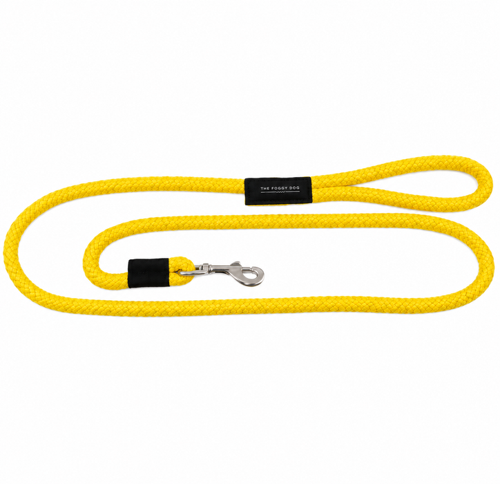 SOFT LINES SNAP LEASHES