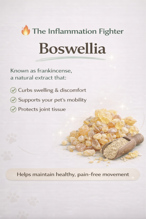 Boswellia resin with text about its benefits on a light background