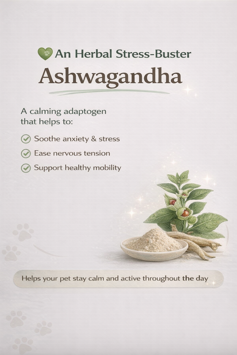 Advertisement for Ashwagandha as an herbal stress-buster with text and images of the herb and powder.