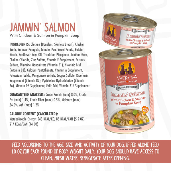Weruva Jammin' Salmon with Chicken & Salmon in Pumpkin Soup