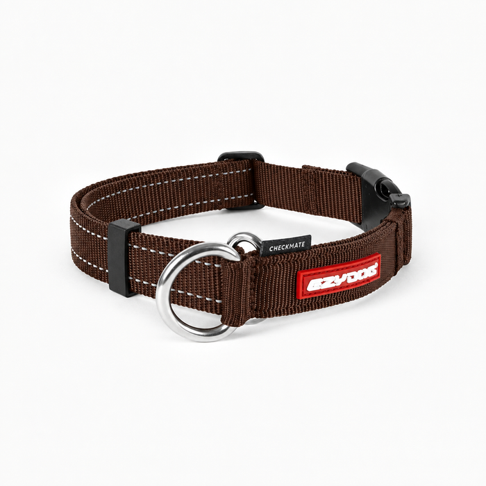 EZYDOG COLLARS