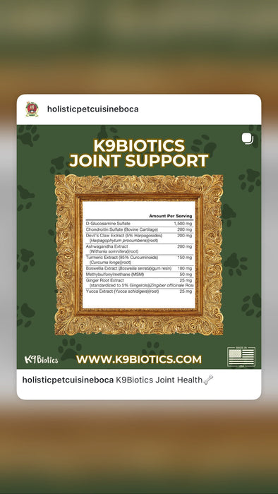 K9Biotics Joint Support product packaging with gold frame and green background