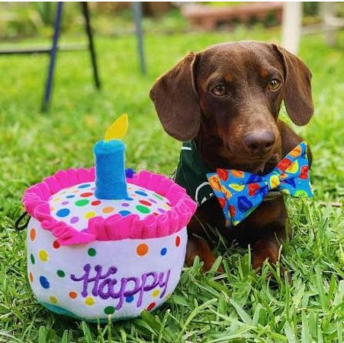 HUXLEY KENT DOG TOY POWER PLUSH HAPPY BARKDAY CAKE LARGE