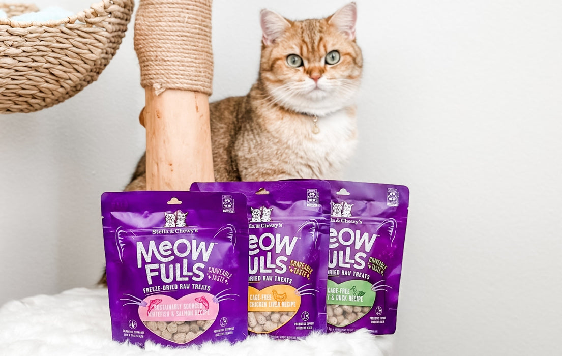 Stella and Chewy's Meowfulls Cat Treat