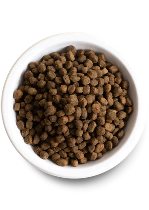 Open Farm Kind Earth Premium Insect Dry Dog Food Kibble