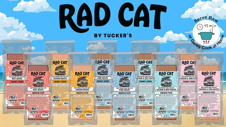 RAD CAT BY TUCKER'S FROZEN 6OZ