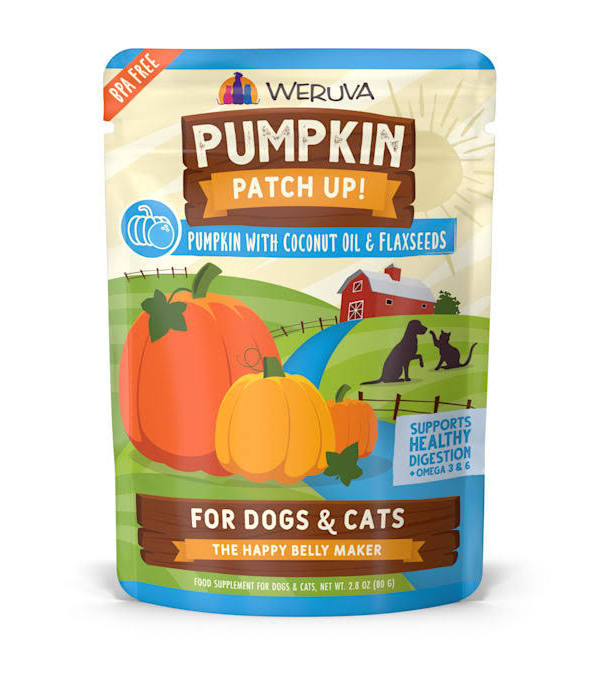 WERUVA DOG & CAT PUMPKIN PATCH UP!