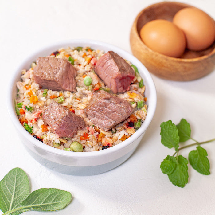 Harvey's Canine Health Miracle Dog Food - Main Image