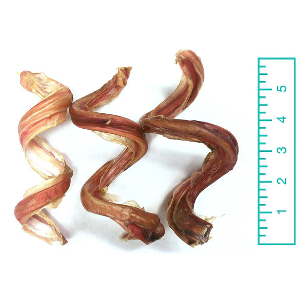 Tuesday's Natural Dog Company 5" Curly Bully Sticks - Natural Scent (Bulk)