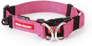 EZYDOG COLLAR DOUBLE UP CANDY PINK L