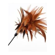 VEE PURRFECT WIGGLE BOUNCER FEATHER TOY
