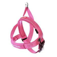 EZYDOG QUICK FIT HARNESS CANDY PINK SMALL