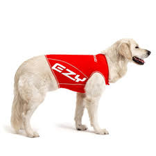 EZYDOG RASHGUARD MEDIUM