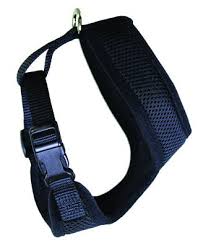 OMNI HARNESS XL BLACK