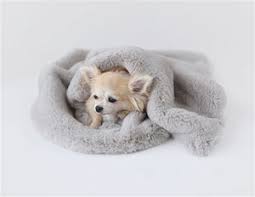 HELLO DOGGY SMALL  BLANKET LIGHT GREY
