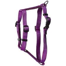 OMNI KWIK STEP HARNESS SMALL PURPLE