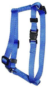 OMNI PAWS 5/8 BLUE MEDIUM HARNESS