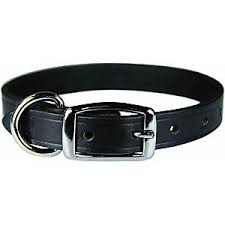 OMNI PET BLACK COLLAR W METAL CLASP