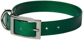 OMNI PET GREEN COLLAR W METAL CLASP