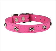 OMNI PET SIGNATURE COLLAR 12"