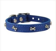 OMNI PET SIGNATURE PAW COLLAR 14"