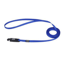 LI'L PALS Coastal® Li'l Pals® Dog Leash with E-Z Snap®, 5/16 In x 6 Ft, blue