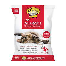 DR.ELSEYS CAT ATTRACT 20#