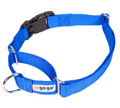 GOGO COMFY COLLAR BLUE LARGE 1”X18”-26” ‘