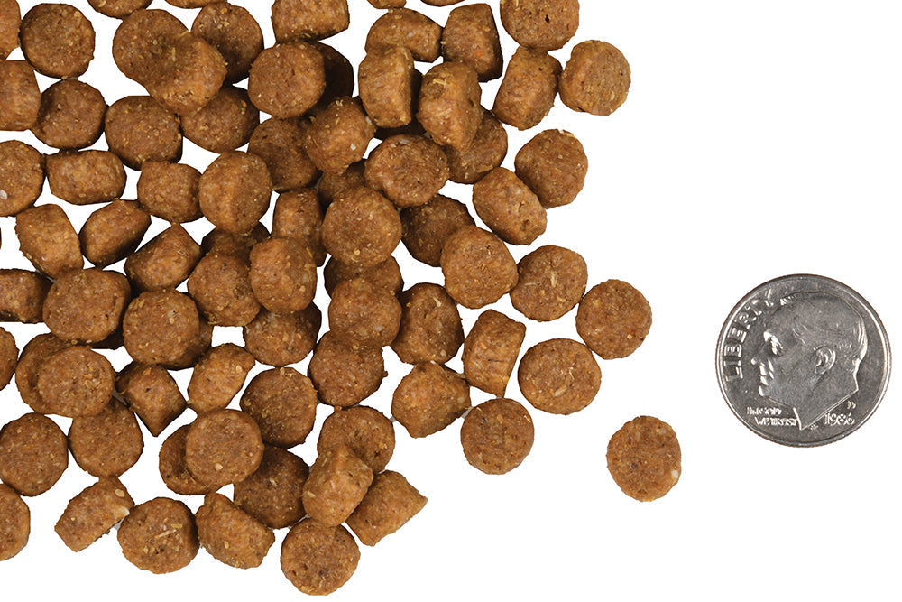 Fromm Gold Puppy Dry Kibble Dog Food