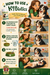 Infographic on how to use K9Biotics with a woman and her dog.