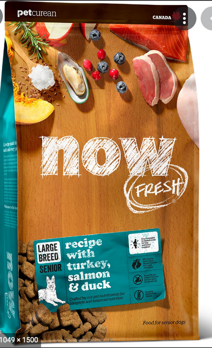 NOW FRESH LARGE BREED SENIOR 12 LB