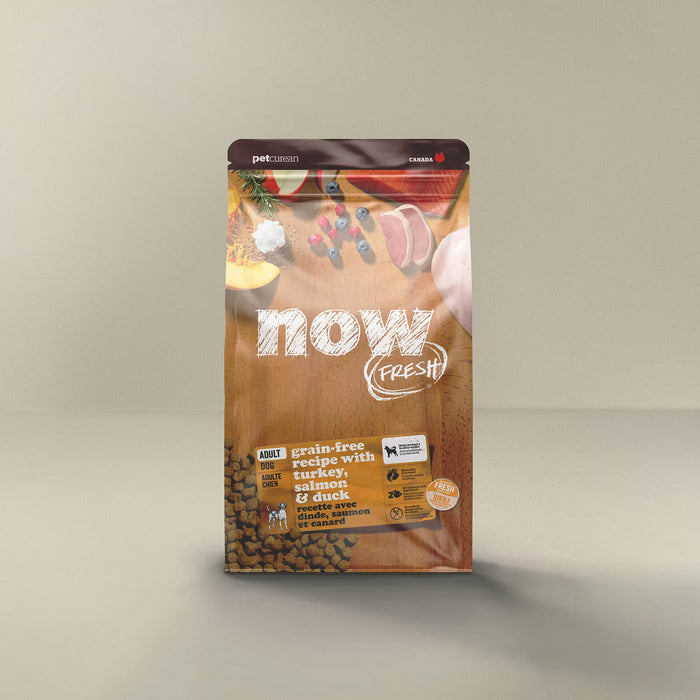 Petcurean Now! Fresh Dry Dog Food | Adults