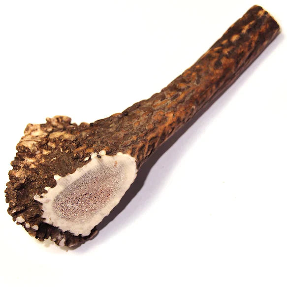 Tuesday's Natural Dog Company Royal Brown Deer Antler - Large Whole