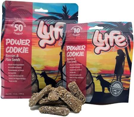 OC RAW LYFE DOG TREAT POWER COOKIE PUMPKIN & CHIA 12 OZ