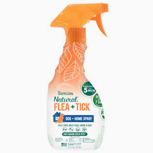 Flea and tick spray bottle with orange nozzle on a white background