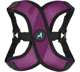GOOBY X STEP IN HARNESS SMALL PURPLE