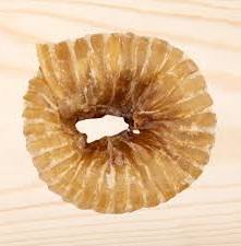 GOGO BEEF TRACHEA RING CHEWS