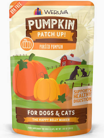 WERUVA DOG & CAT PUMPKIN PATCH UP!