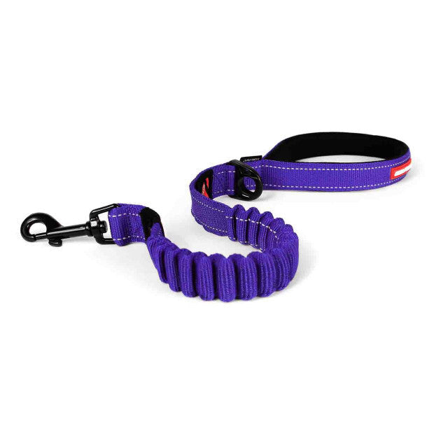 EZYDOG ZERO SHOCK LEASHES